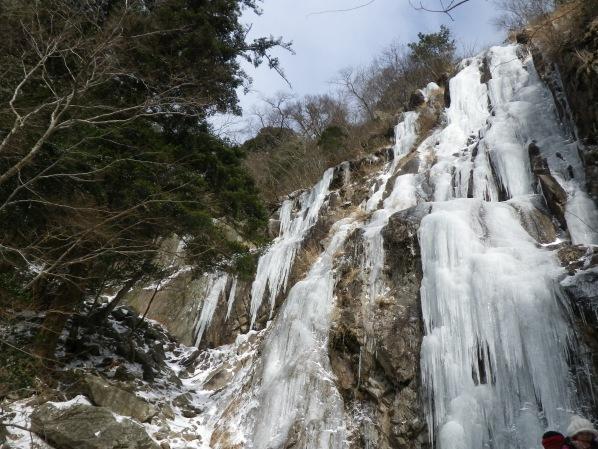 寒波のおかげで大分広がってきた氷瀑！